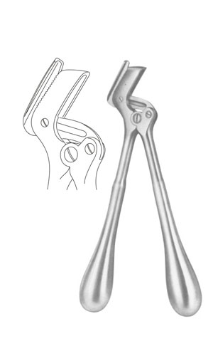 Plaster Shears